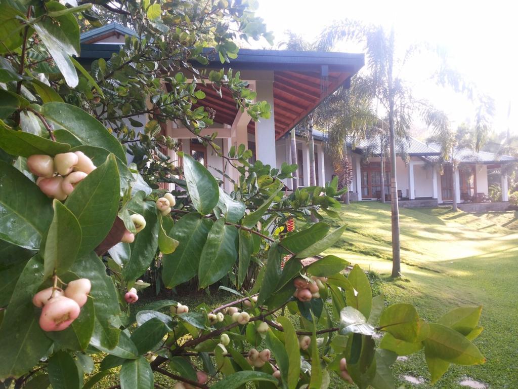 Brook Boutique Hotel Melsiripura Bagian luar foto